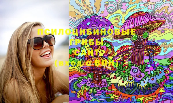 амф Осинники