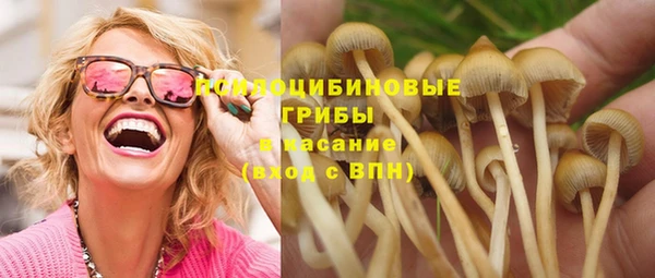 прущая мука Арсеньев