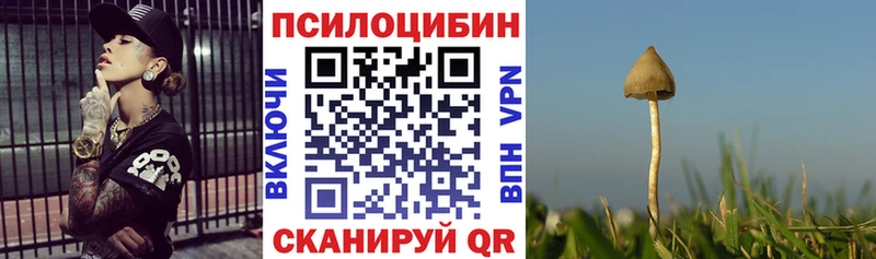 Галлюциногенные грибы Psilocybe  Холмск 